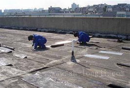 2013年苏州昌达屋顶防水补漏与沧浪区水电维修服务解析